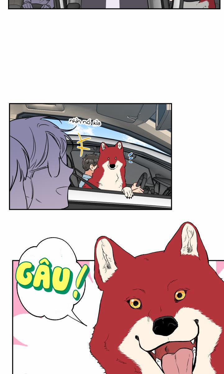 Gâu Gâu! 33 trang 23