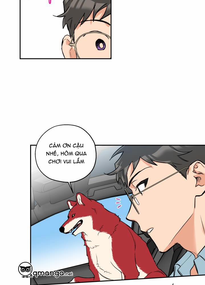 Gâu Gâu! 33 trang 42