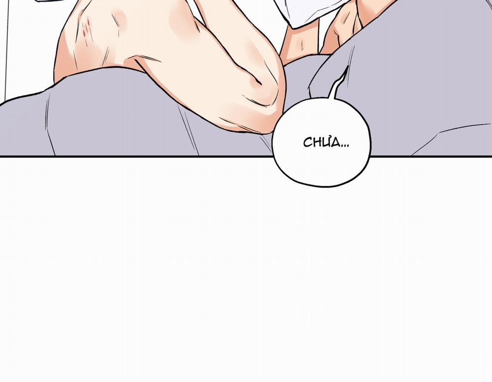 Gâu Gâu! 45 trang 61