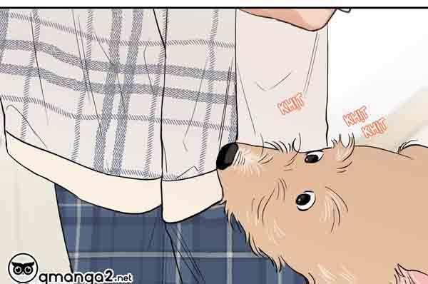 Gâu Gâu! 49 trang 106