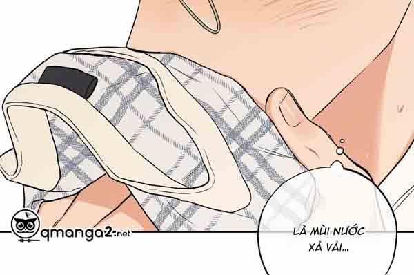 Gâu Gâu! 49 trang 113