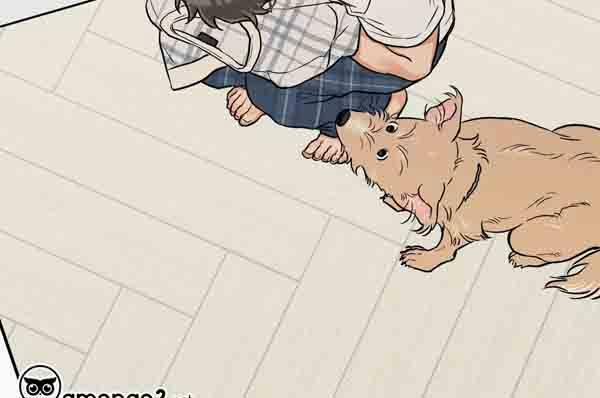 Gâu Gâu! 49 trang 118