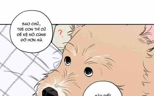 Gâu Gâu! 49 trang 34