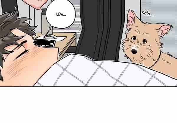 Gâu Gâu! 49 trang 43