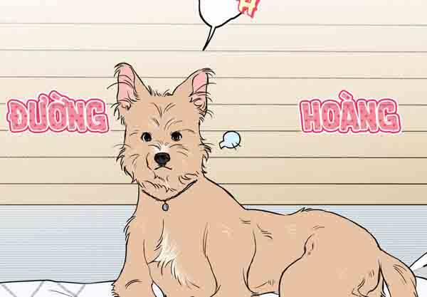 Gâu Gâu! 49 trang 55