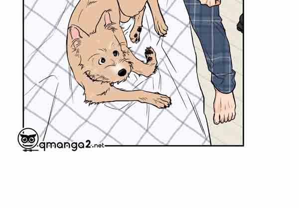 Gâu Gâu! 49 trang 60