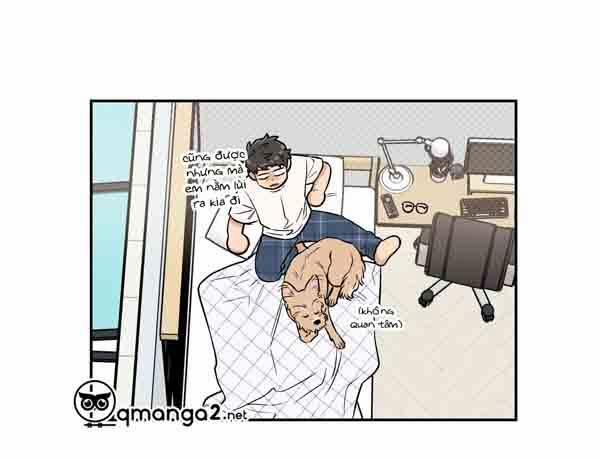 Gâu Gâu! 49 trang 61