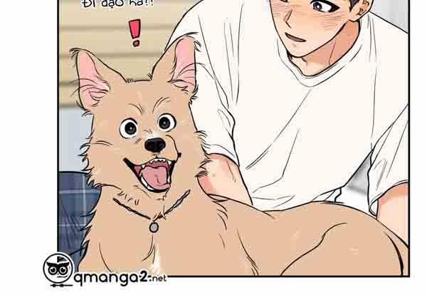 Gâu Gâu! 49 trang 94