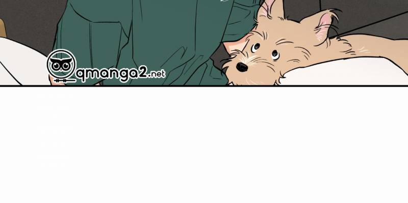 Gâu Gâu! 50 trang 44