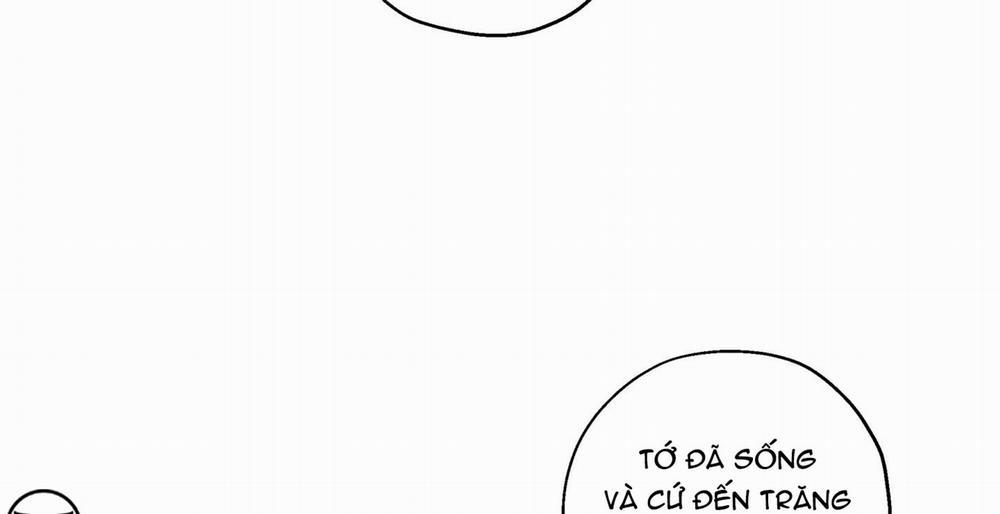 Gâu Gâu! 53 trang 126