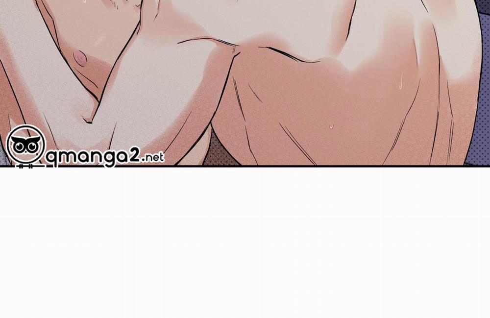 Gâu Gâu! 53 trang 162