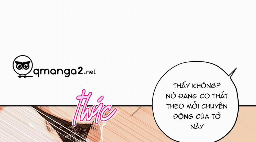 Gâu Gâu! 55 trang 59