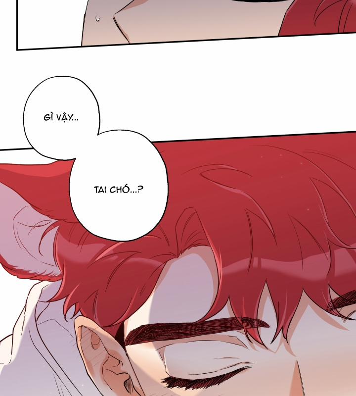 Gâu Gâu! 7 trang 53