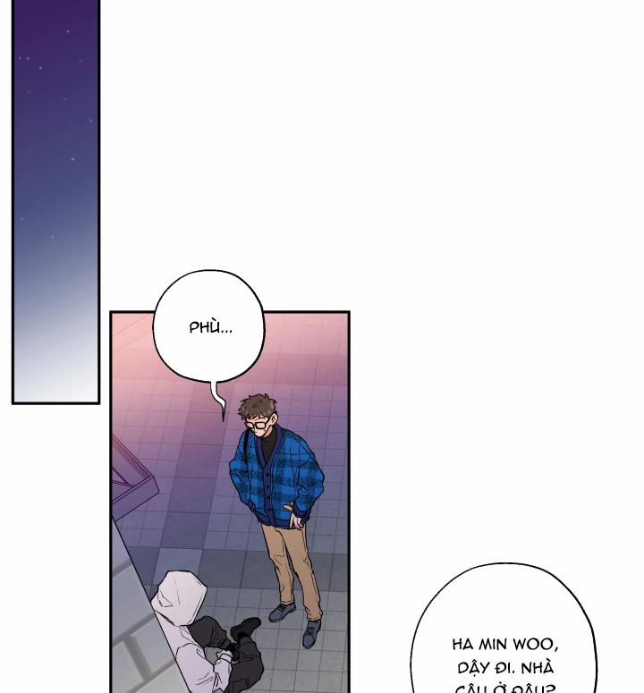 Gâu Gâu! 8 trang 38