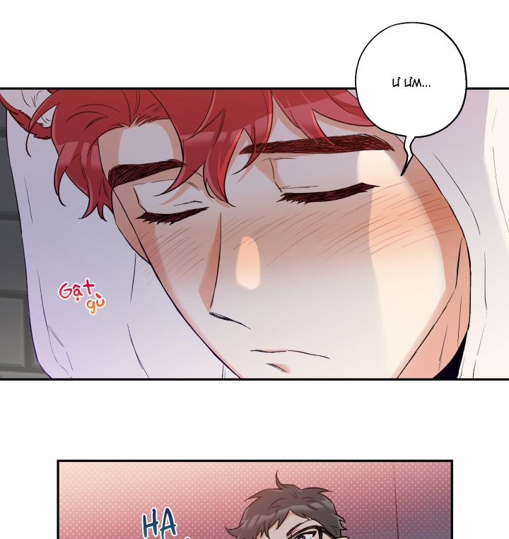 Gâu Gâu! 8 trang 40