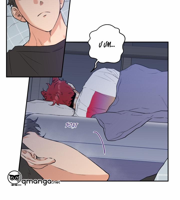 Gâu Gâu! 8 trang 54