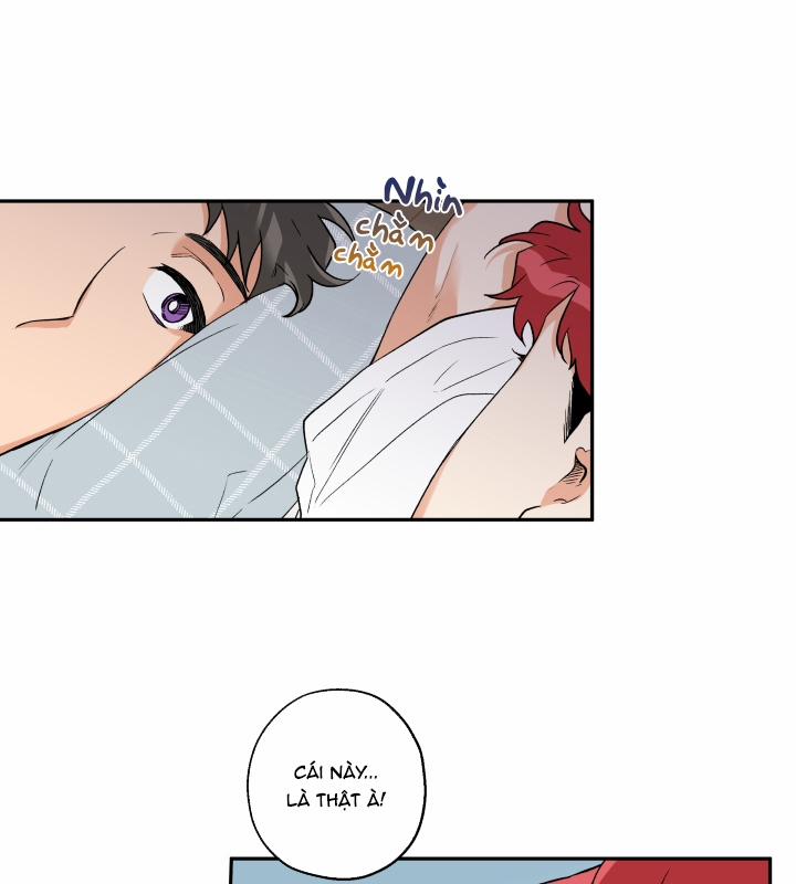 Gâu Gâu! 8 trang 57