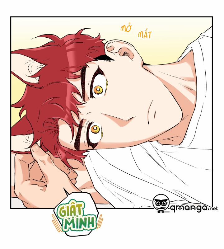 Gâu Gâu! 8 trang 59