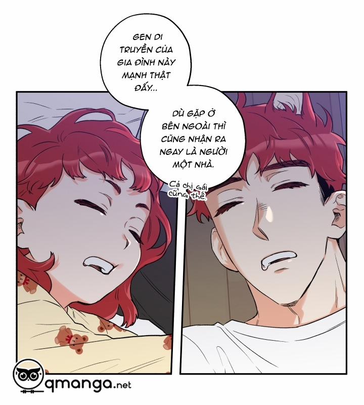 Gâu Gâu! 9 trang 20