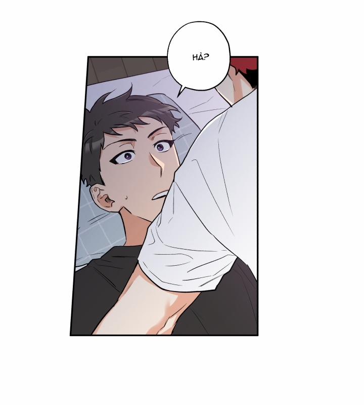 Gâu Gâu! 9 trang 5