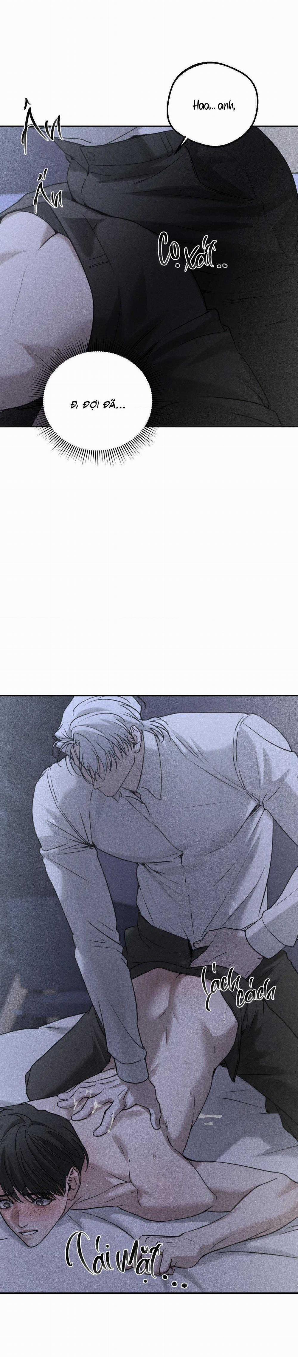 Gấu Teddy Thân Yêu 25 trang 19