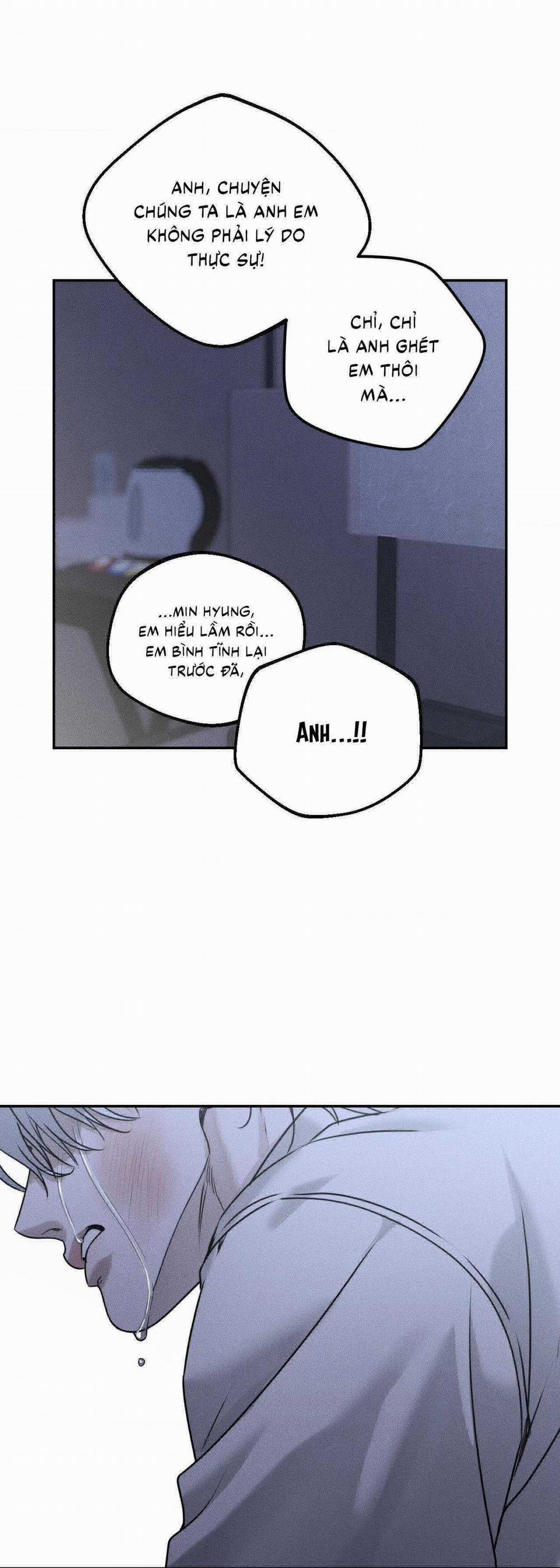 Gấu Teddy Thân Yêu 25 trang 31