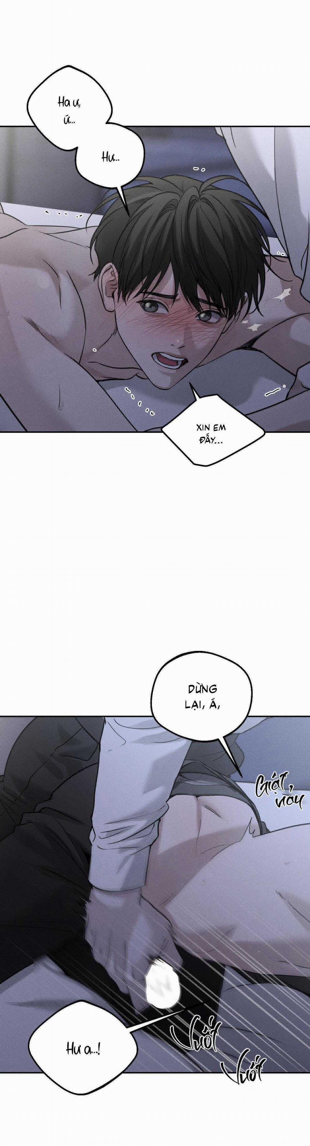 Gấu Teddy Thân Yêu 25 trang 8