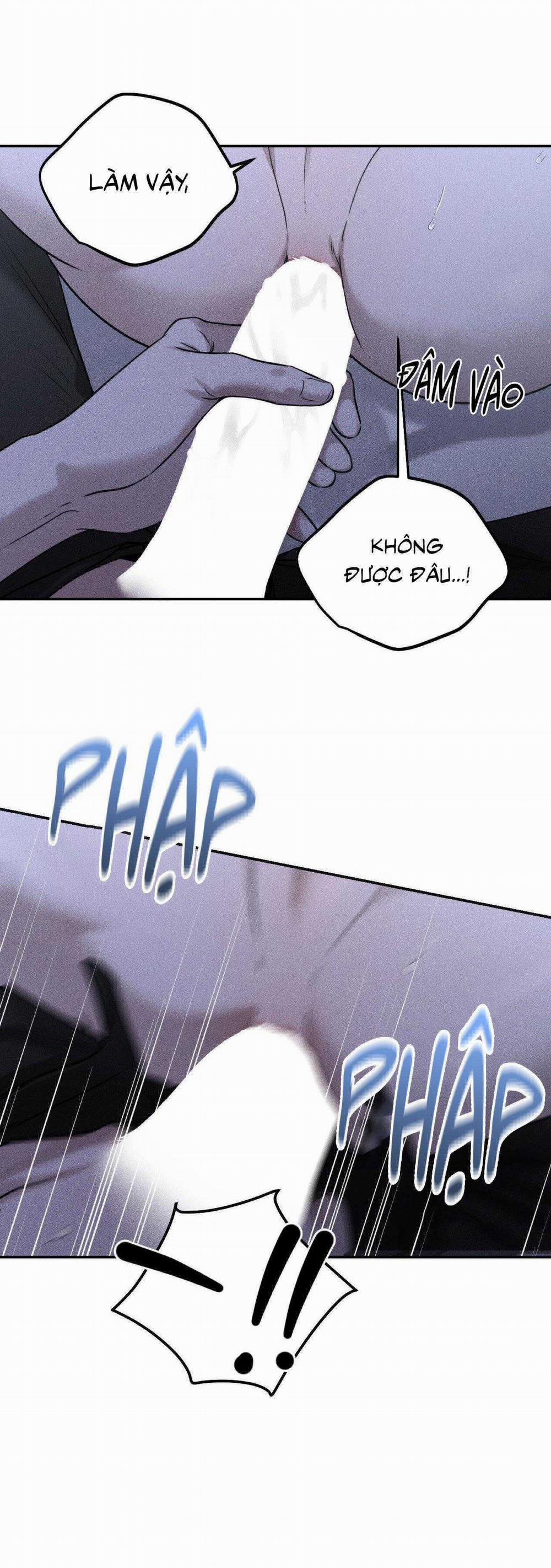 Gấu Teddy Thân Yêu 26 trang 21