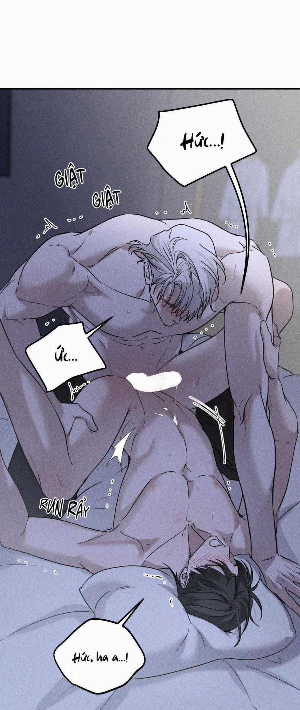 Gấu Teddy Thân Yêu 26 trang 22