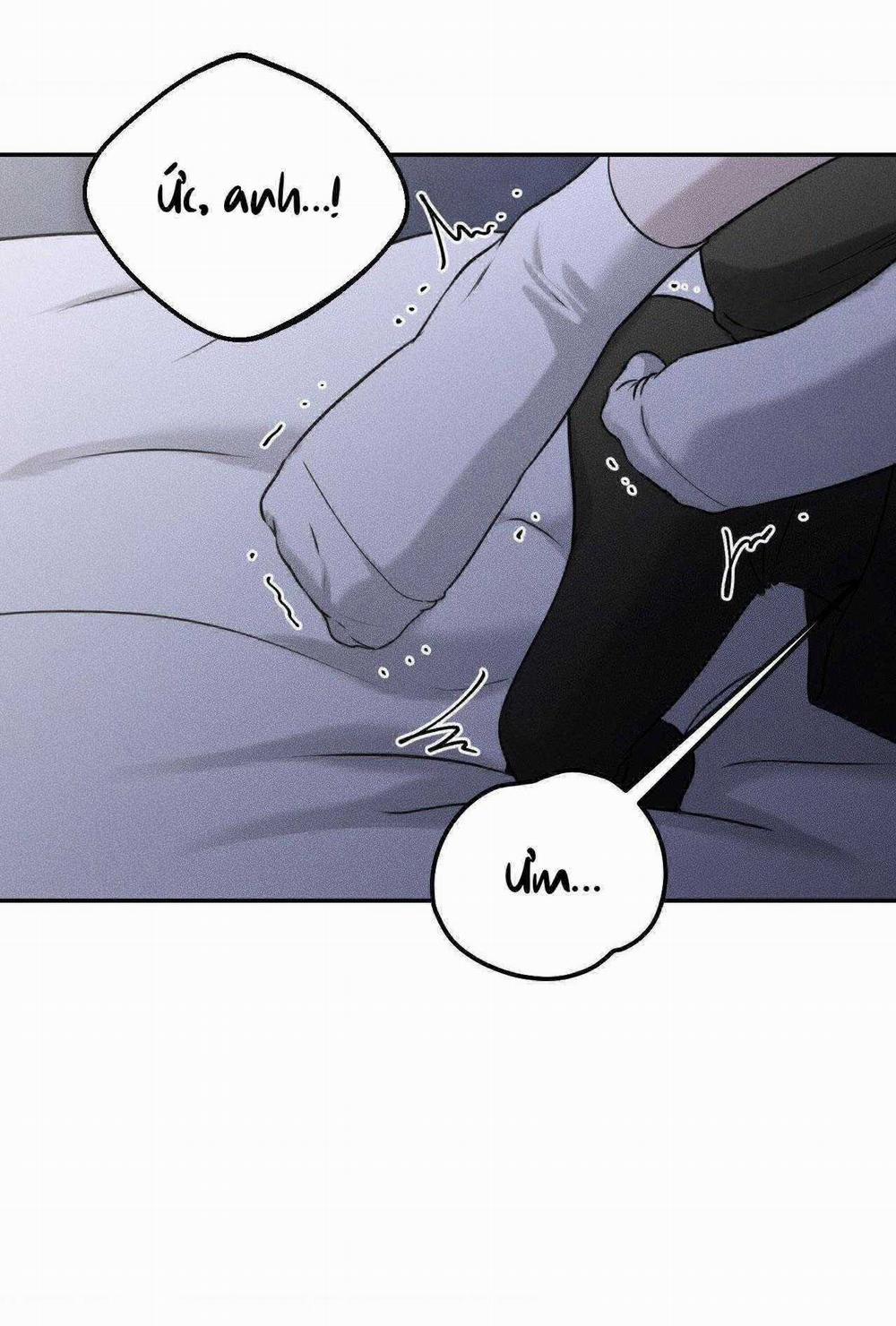 Gấu Teddy Thân Yêu 26 trang 43