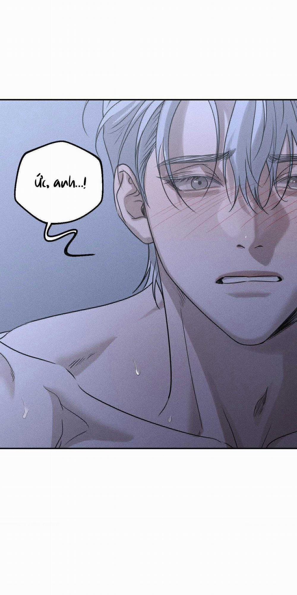 Gấu Teddy Thân Yêu 26 trang 48