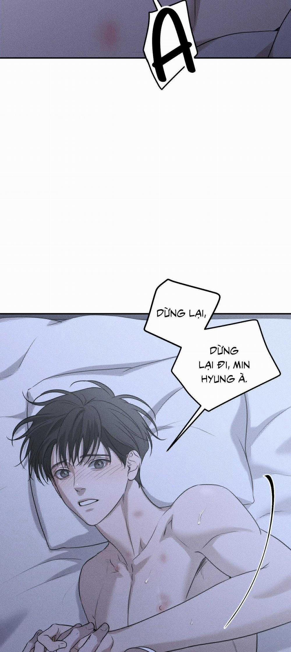 Gấu Teddy Thân Yêu 27 trang 5