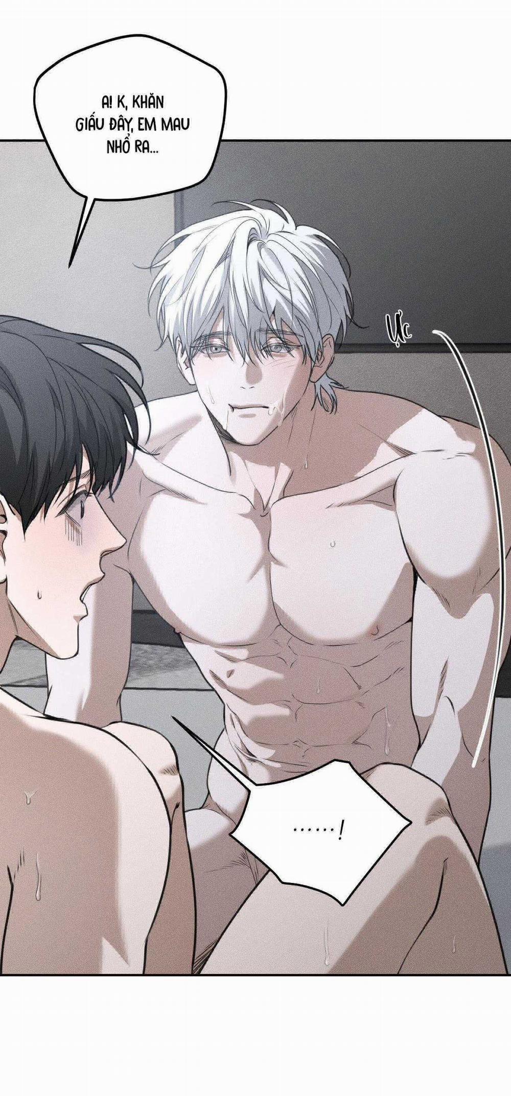 Gấu Teddy Thân Yêu 29 trang 19