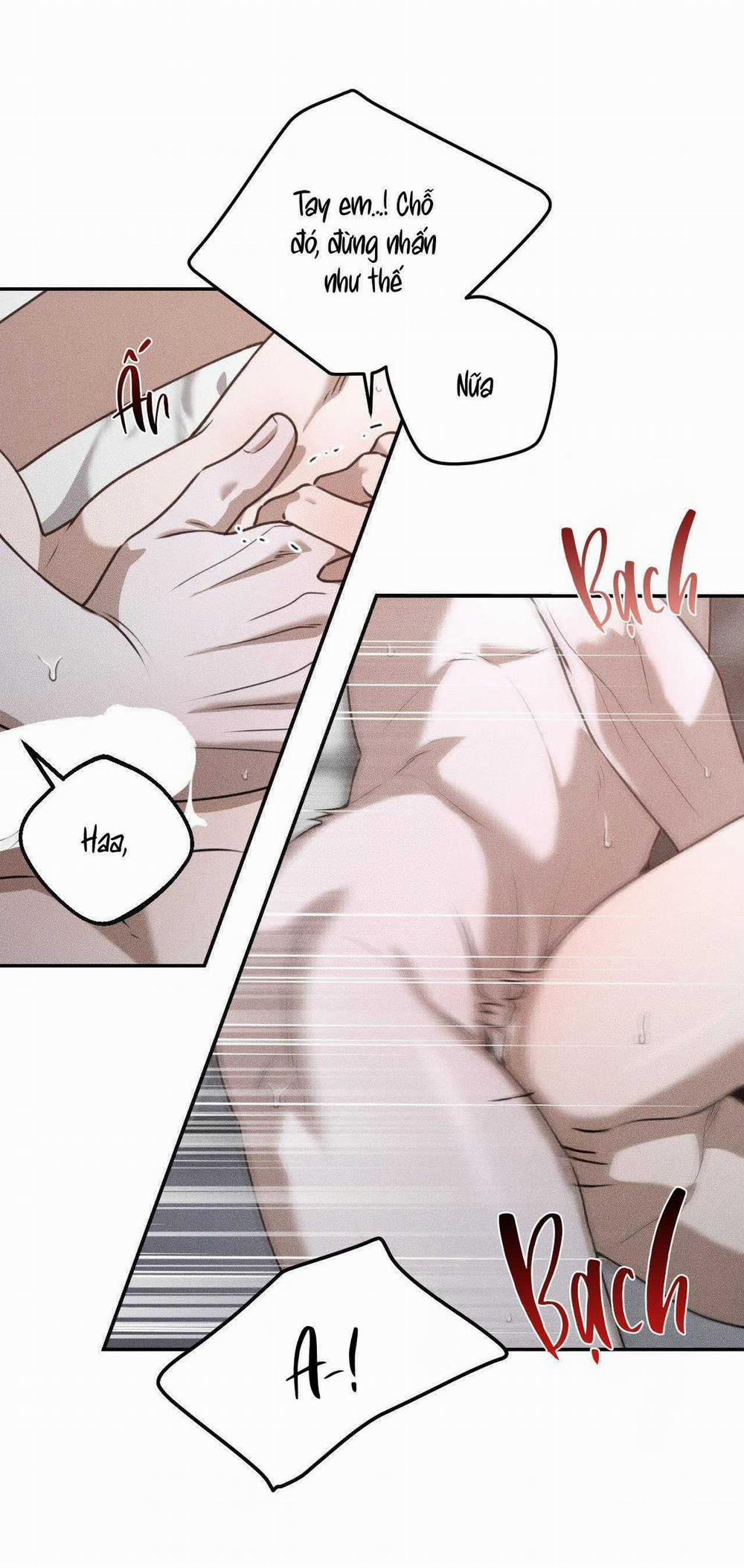 Gấu Teddy Thân Yêu 29 trang 31