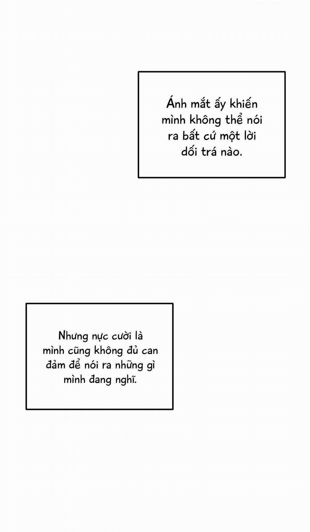 Gấu Teddy Thân Yêu 30 trang 28