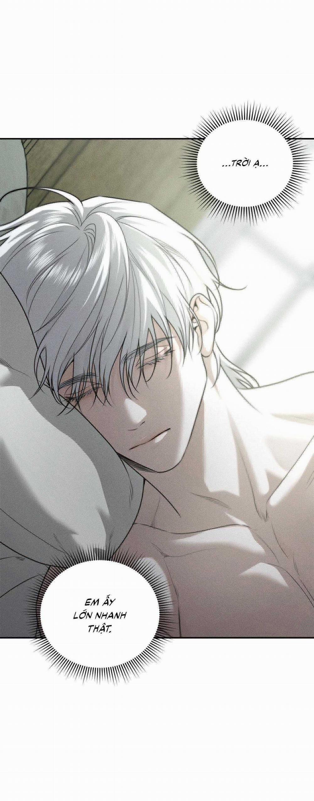 Gấu Teddy Thân Yêu 31 trang 45