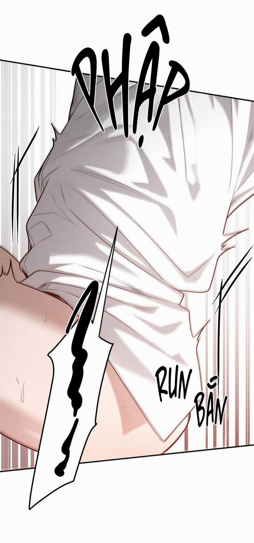 Gấu Teddy Thân Yêu 33 trang 47