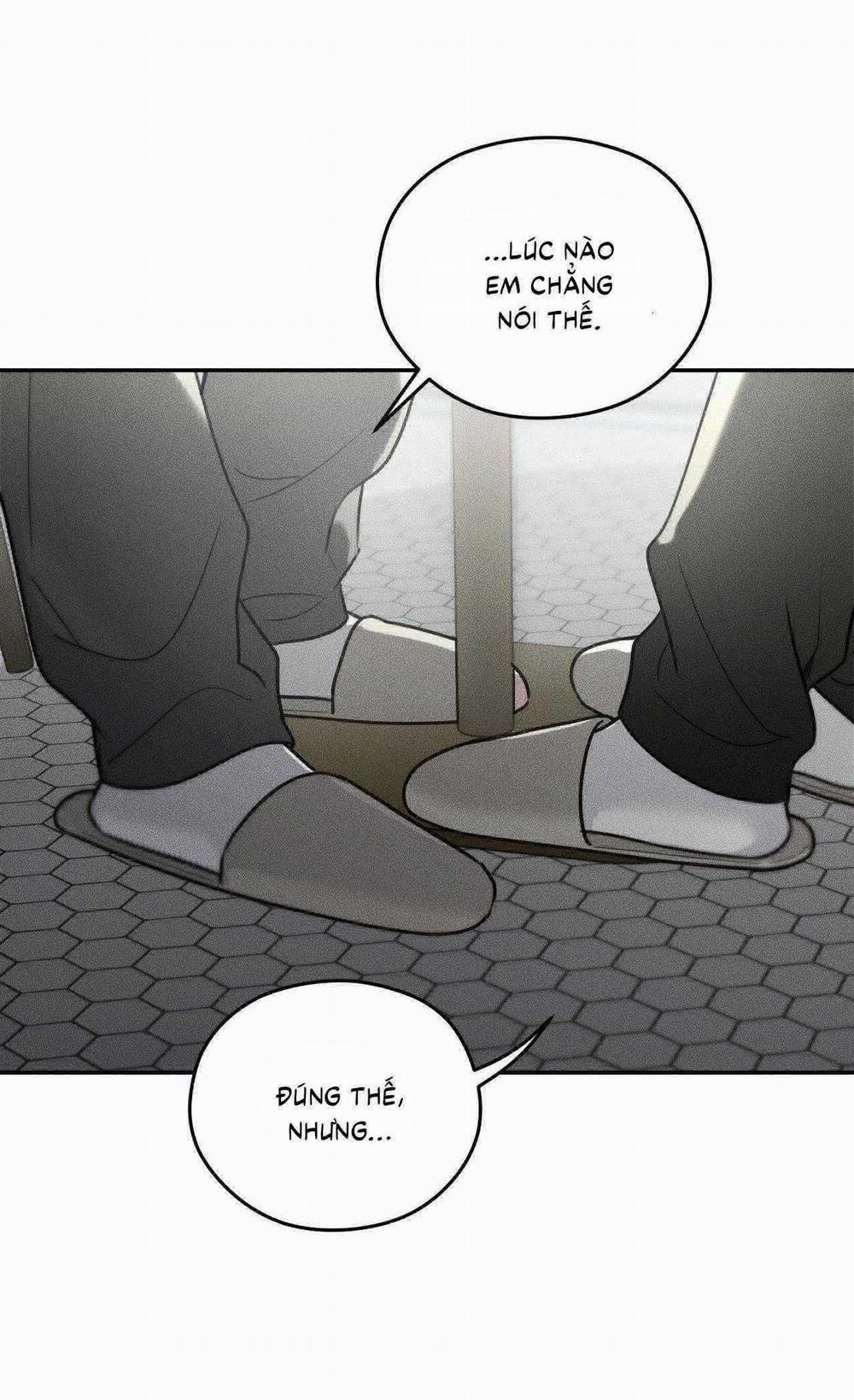 Gấu Teddy Thân Yêu 35 trang 14