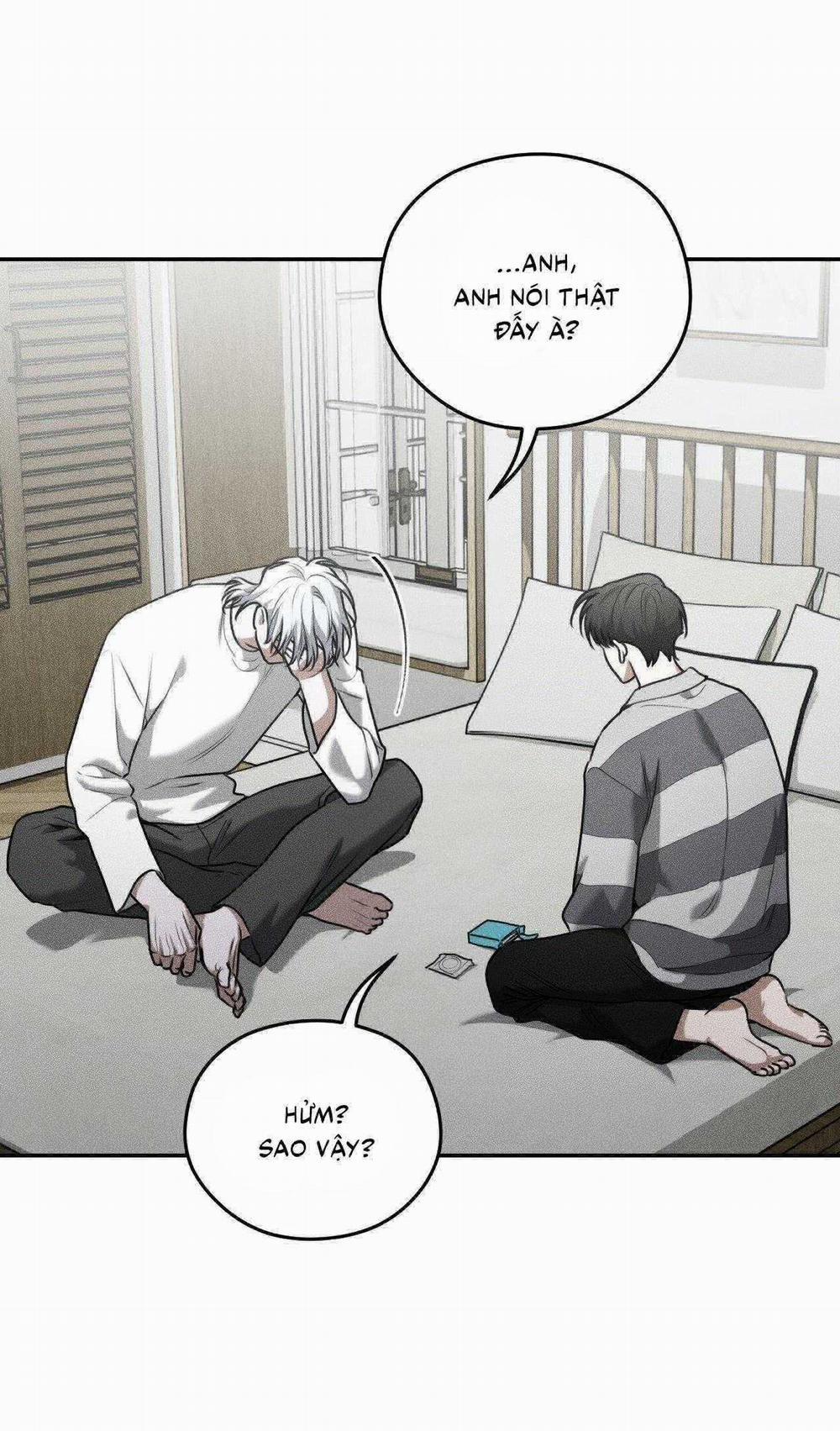 Gấu Teddy Thân Yêu 35 trang 22