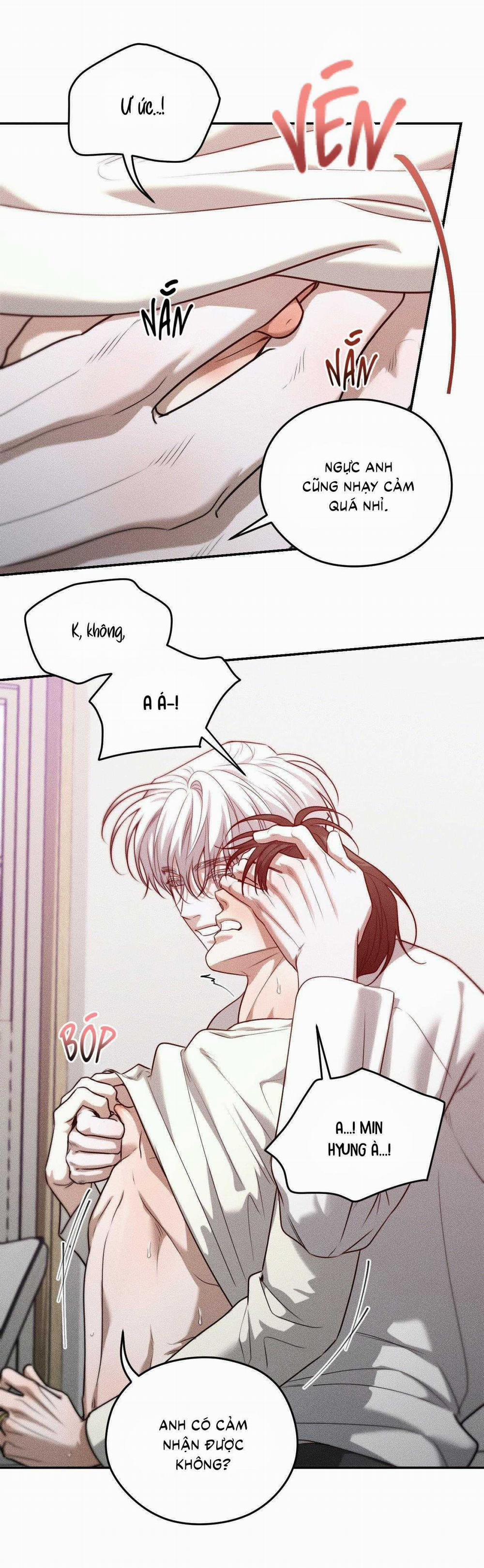 Gấu Teddy Thân Yêu 35 trang 36