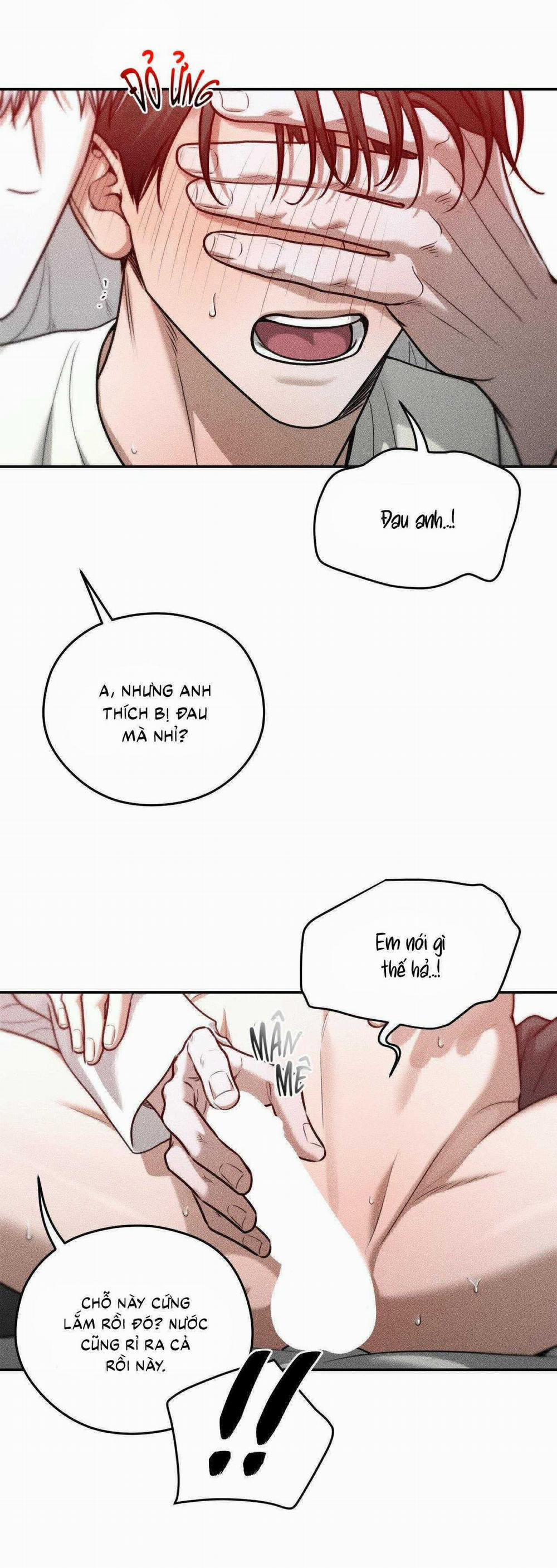 Gấu Teddy Thân Yêu 35 trang 37