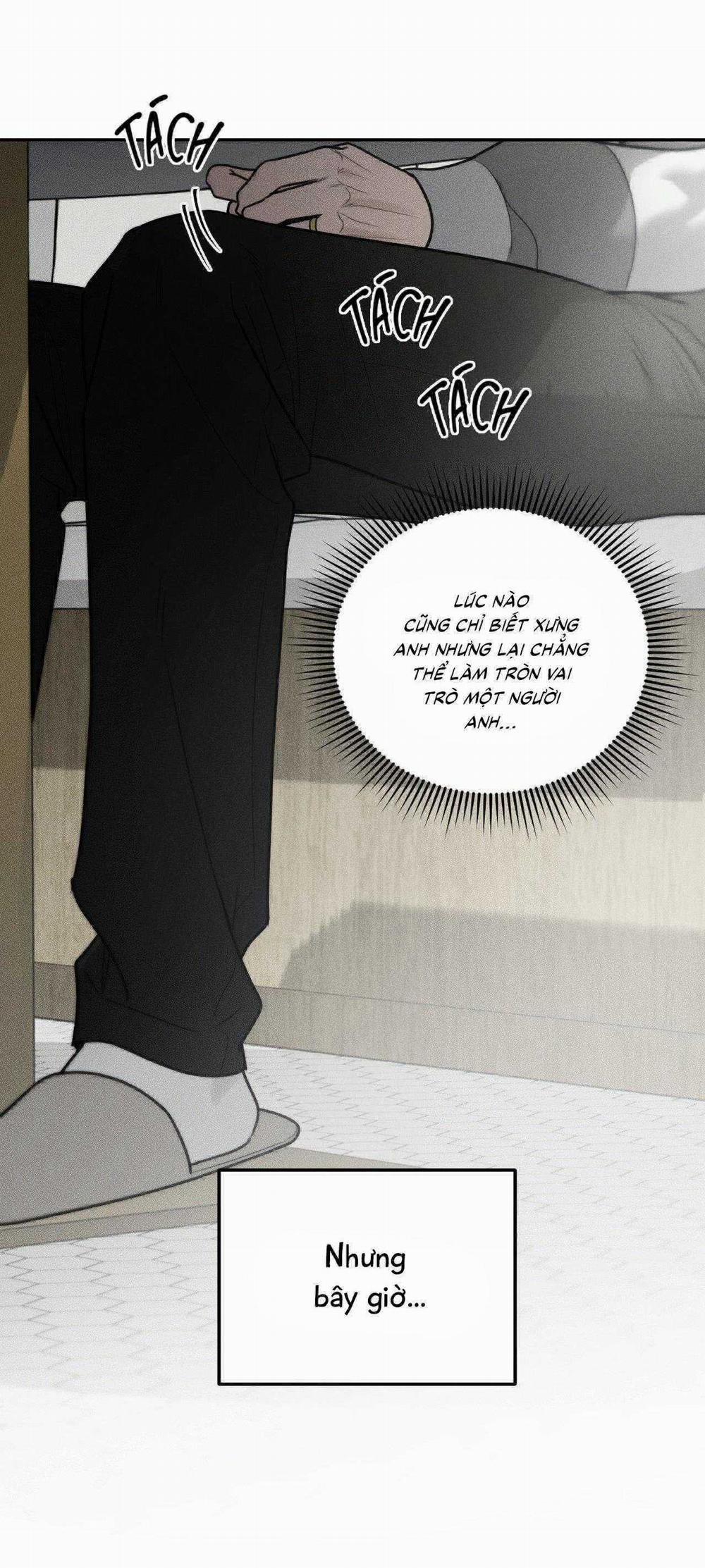 Gấu Teddy Thân Yêu 35 trang 7