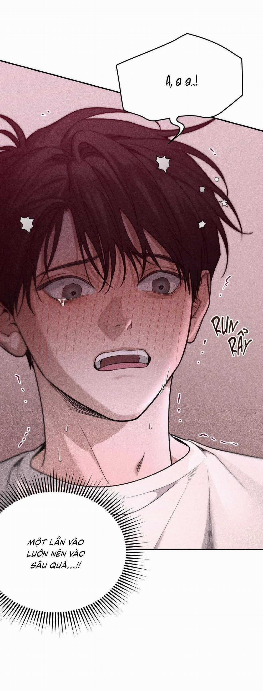 Gấu Teddy Thân Yêu 36 trang 14