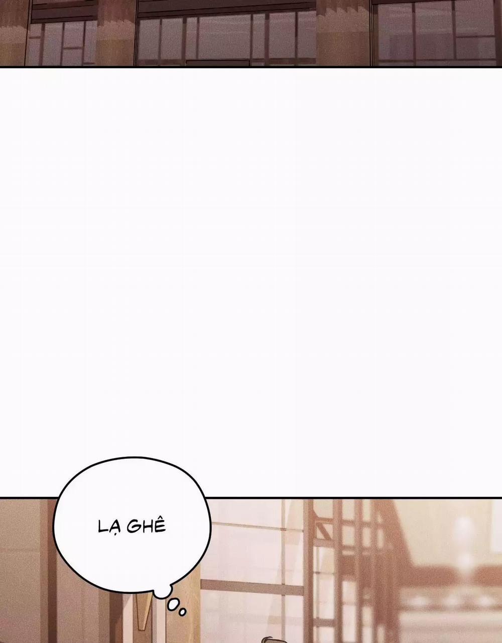 Gấu Teddy Thân Yêu 37 trang 2