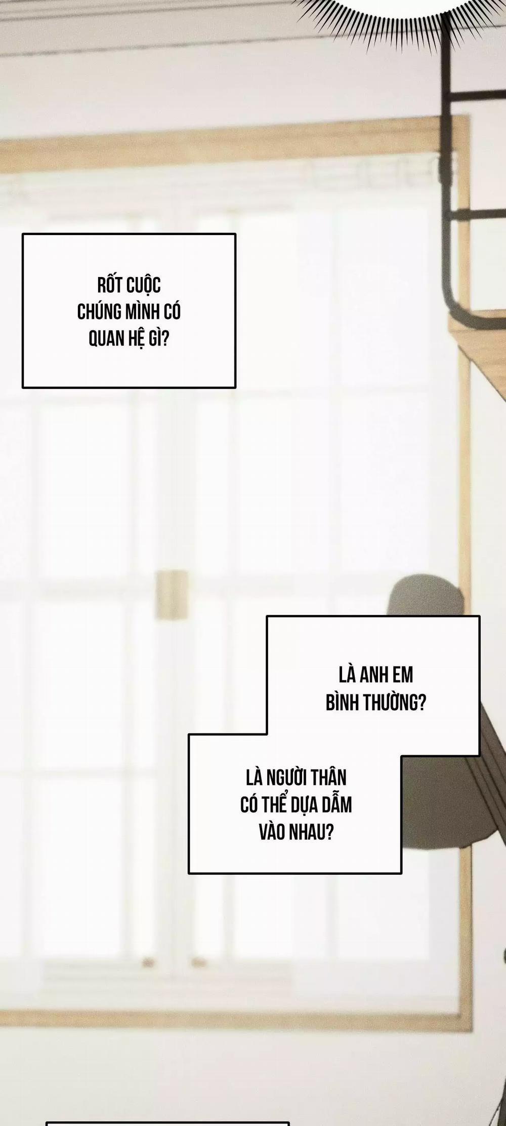 Gấu Teddy Thân Yêu 38 trang 7