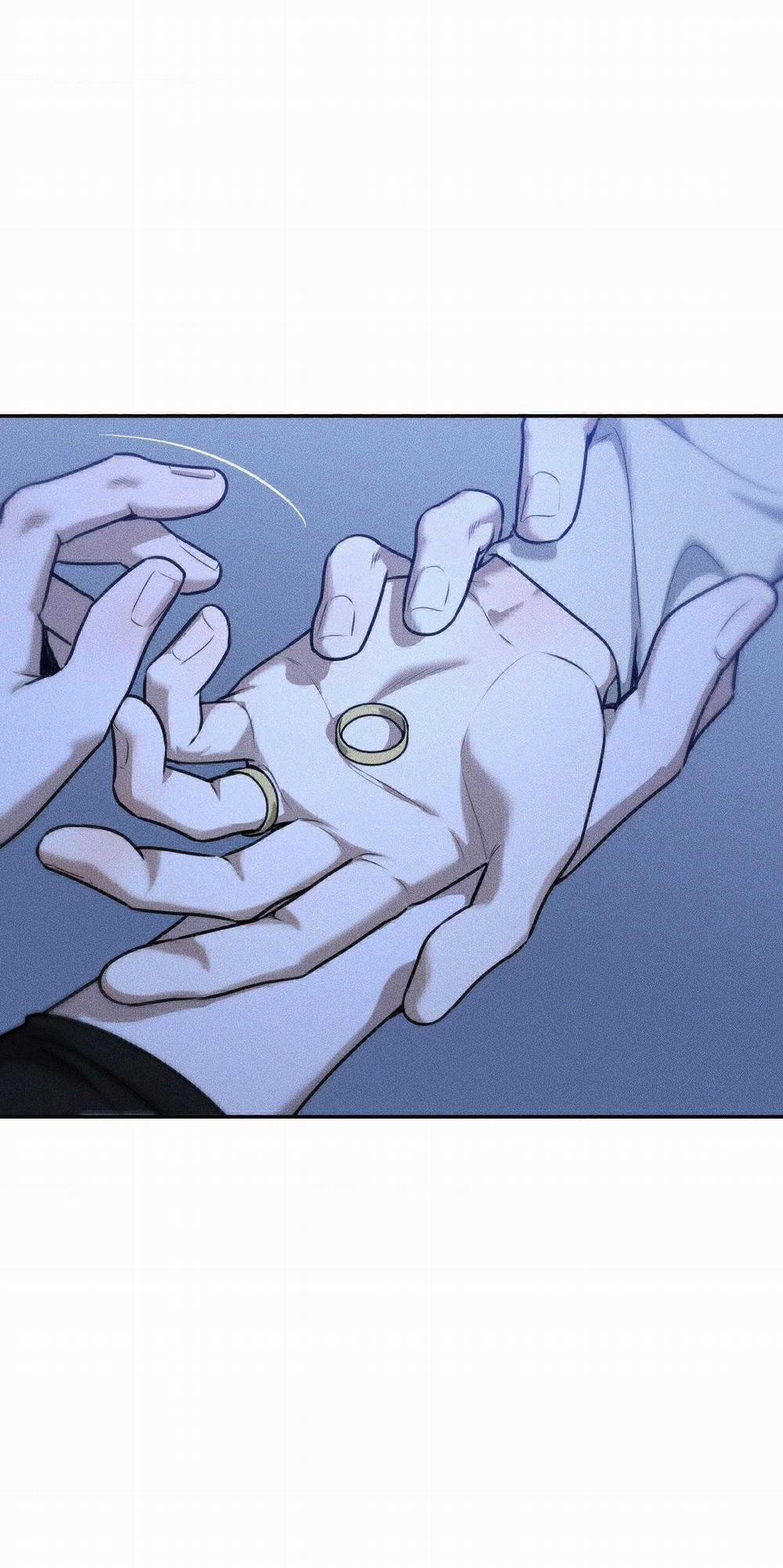 Gấu Teddy Thân Yêu 40 trang 12