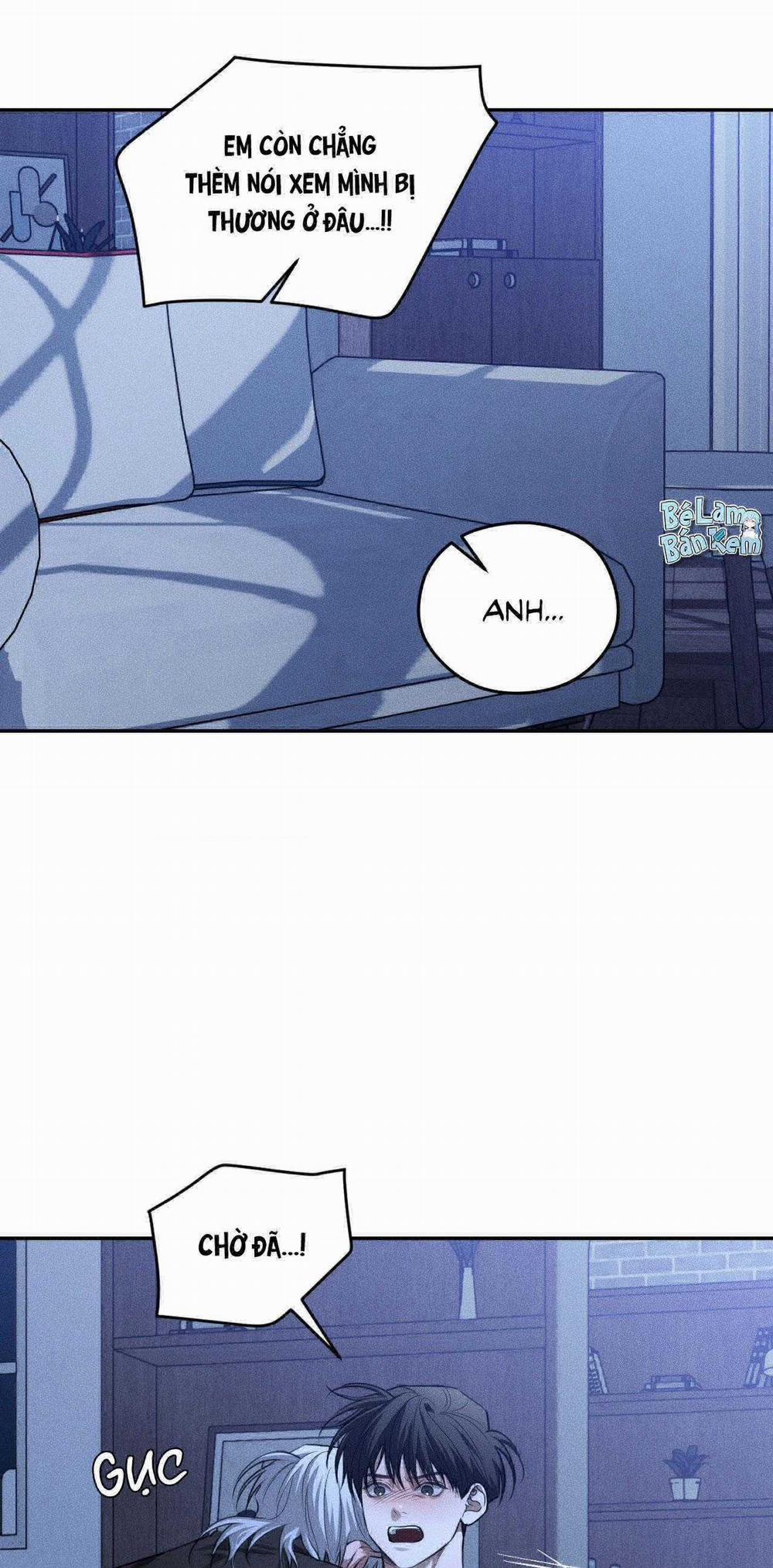 Gấu Teddy Thân Yêu 40 trang 7