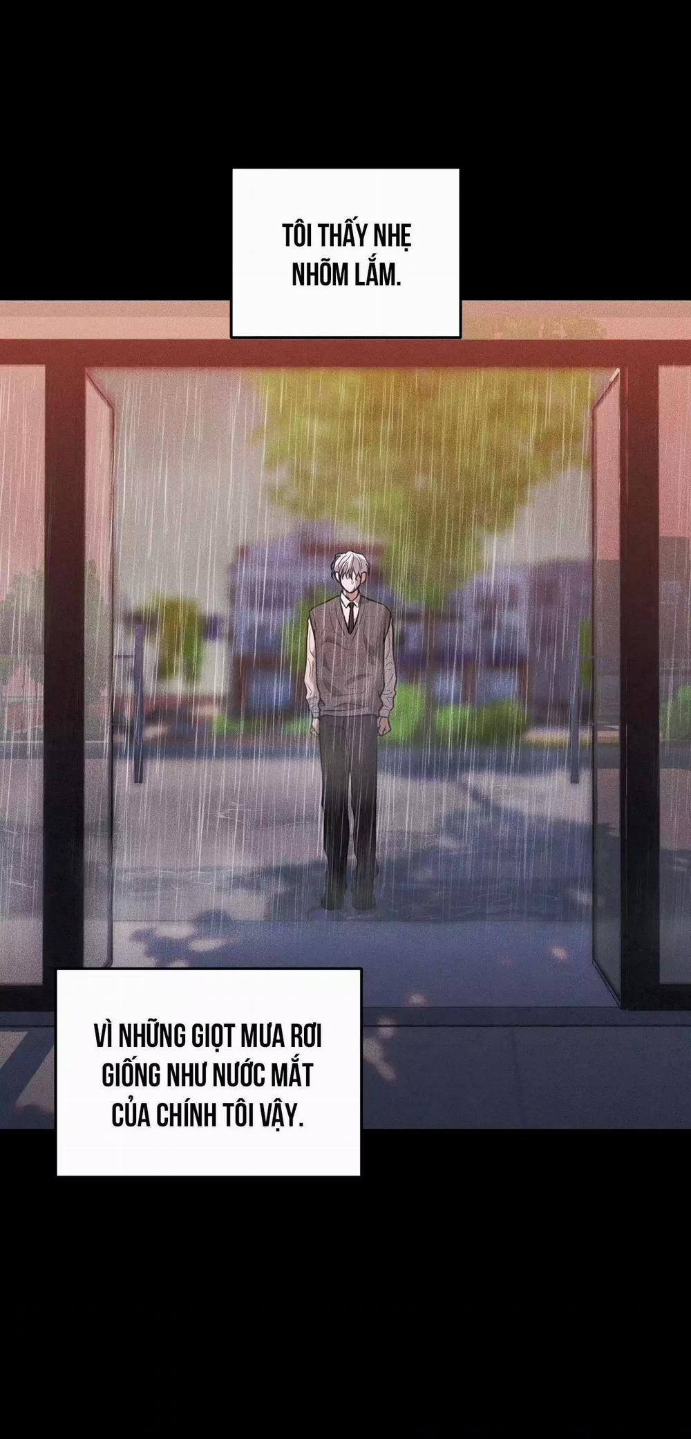 Gấu Teddy Thân Yêu 41 trang 13