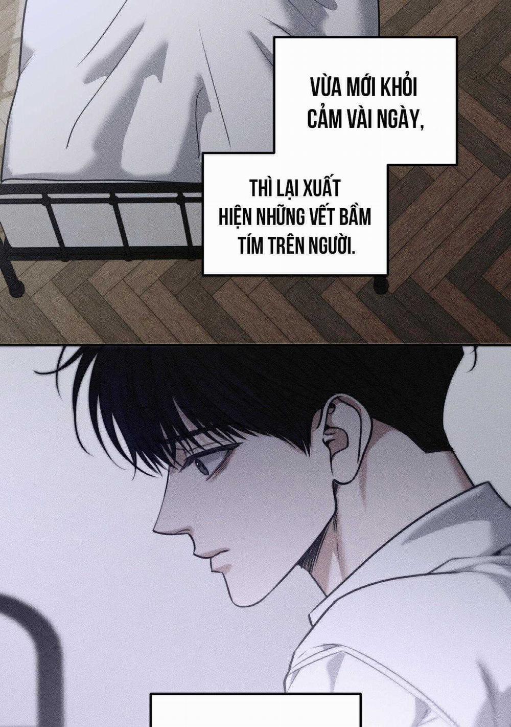 Gấu Teddy Thân Yêu 42 trang 57