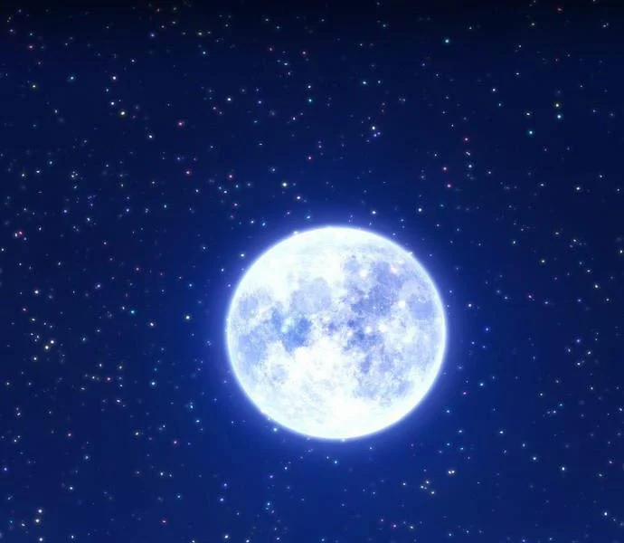 Gậy Gỗ Cấp 99+ 93.6 trang 26